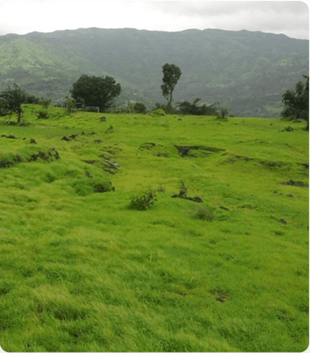 Agriculture Zone